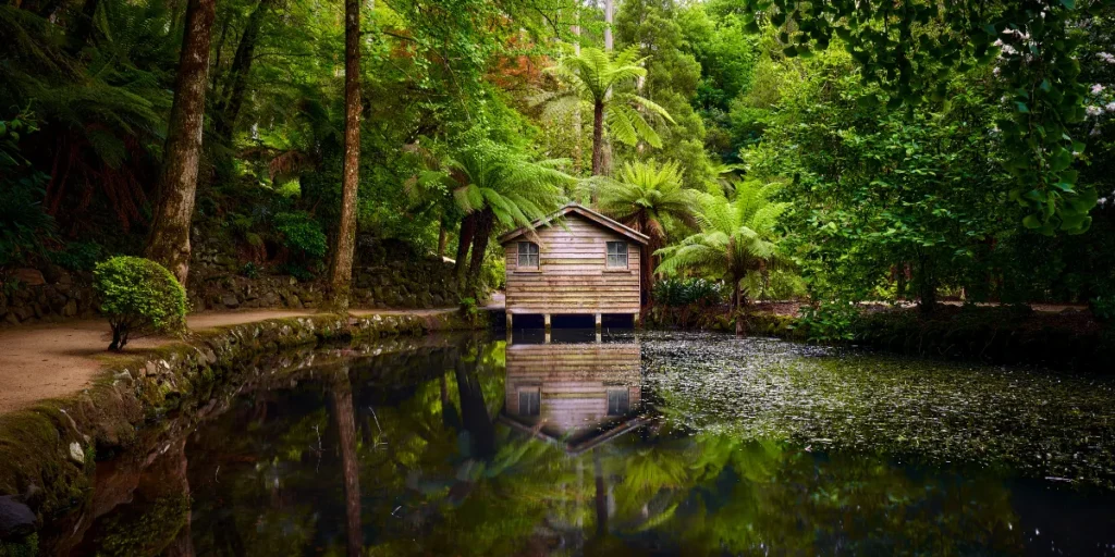 lakehouse home store