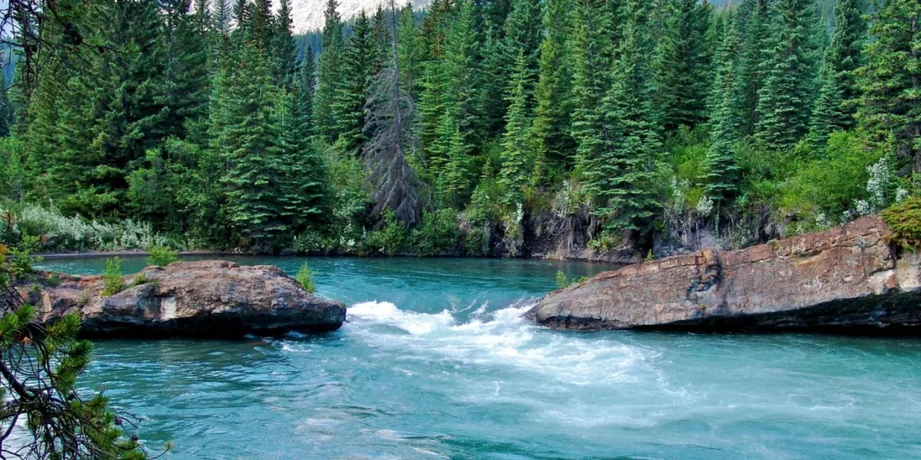 alberta health application